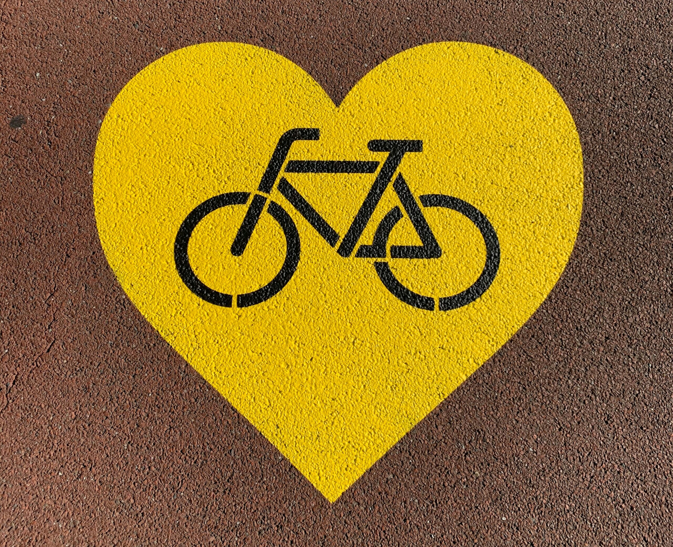 découvrez tous nos articles et conseils pour le cyclisme : équipement, itinéraires, conseils d'entraînement et plus encore.