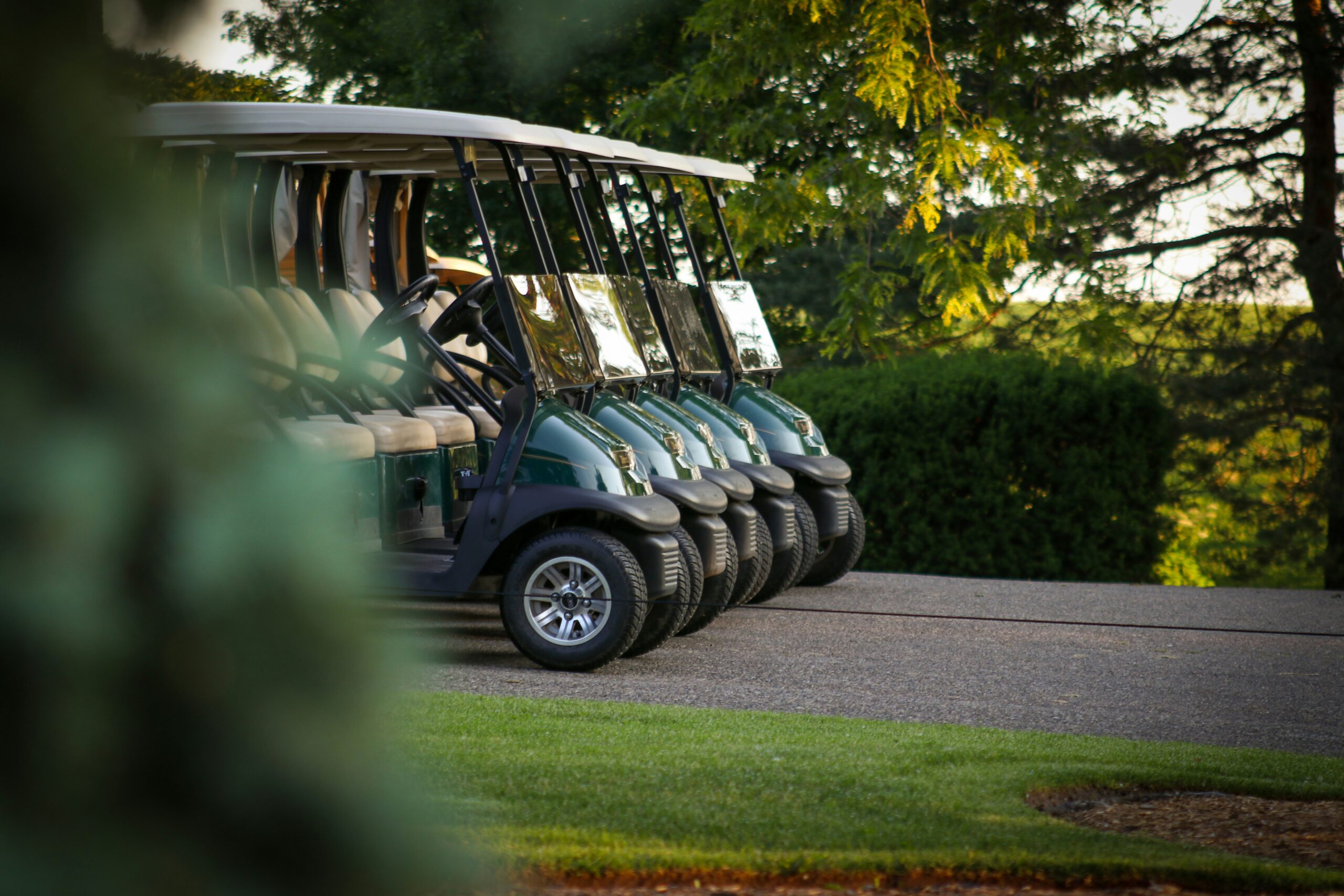 découvrez les gagnants des compétitions de golf dans notre sélection de champions internationaux et de futurs talents du monde du golf.