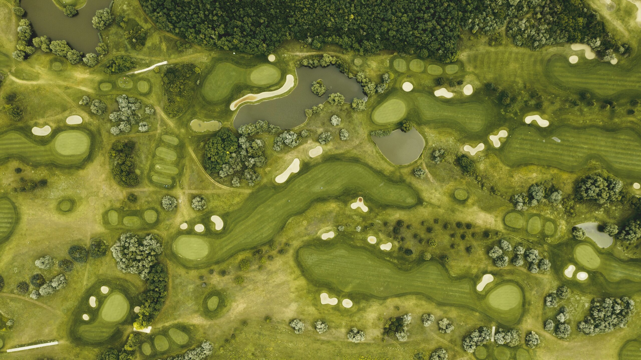 découvrez le luxe et la beauté naturelle du golf samanah, un paradis pour les passionnés de golf au cœur de la nature marocaine.