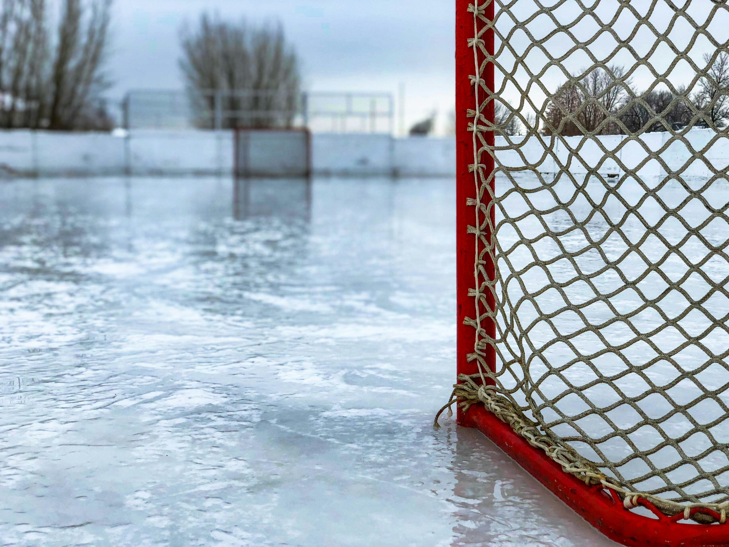 prévoir l'avenir du hockey avec des analyses et des prédictions fascinantes sur l'évolution du sport.